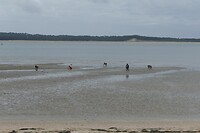 240909 Plage de Gatseau II