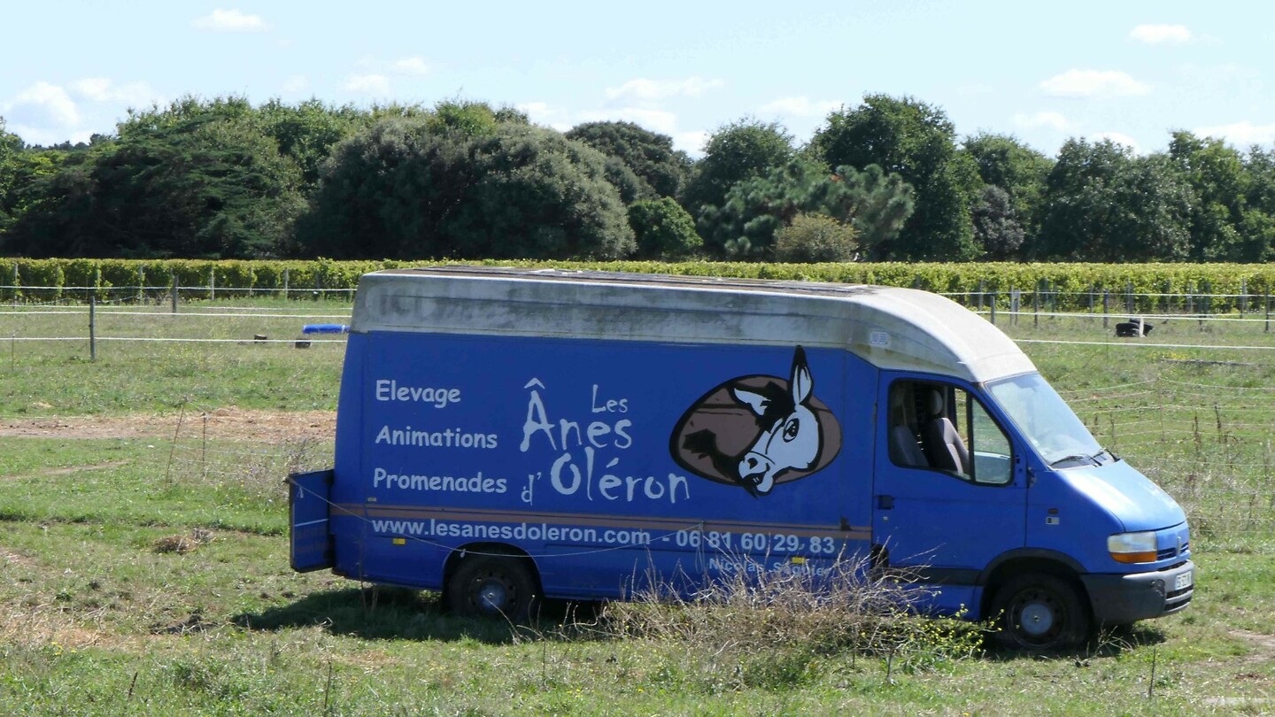 240913 Chéray  ezelboerderij