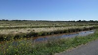 240913 St-Georges d'Oléron   weg door moeras