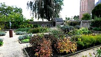 241007 Cuijk Heemtuin