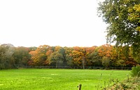 241020 Indian Summer
