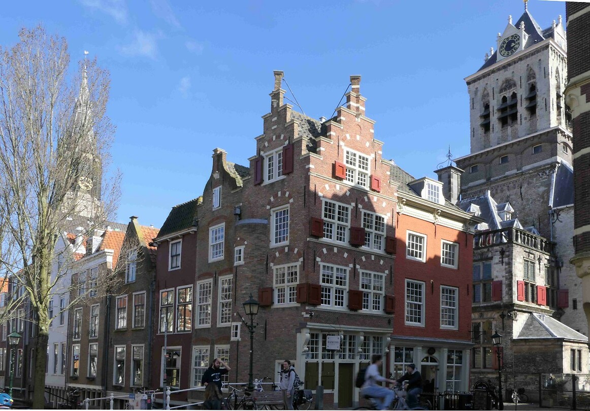 250331 Blauwe Roos