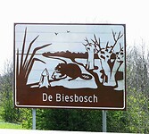 250402 Biesbosch