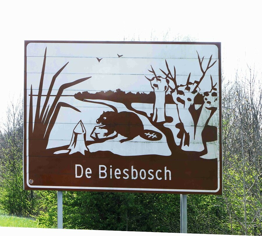 250402 Biesbosch