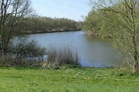 250402 Meertje