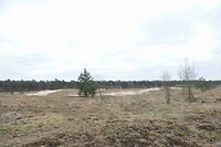 250410 Oirschotse hei