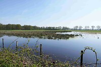 250411 de Groote Peel I