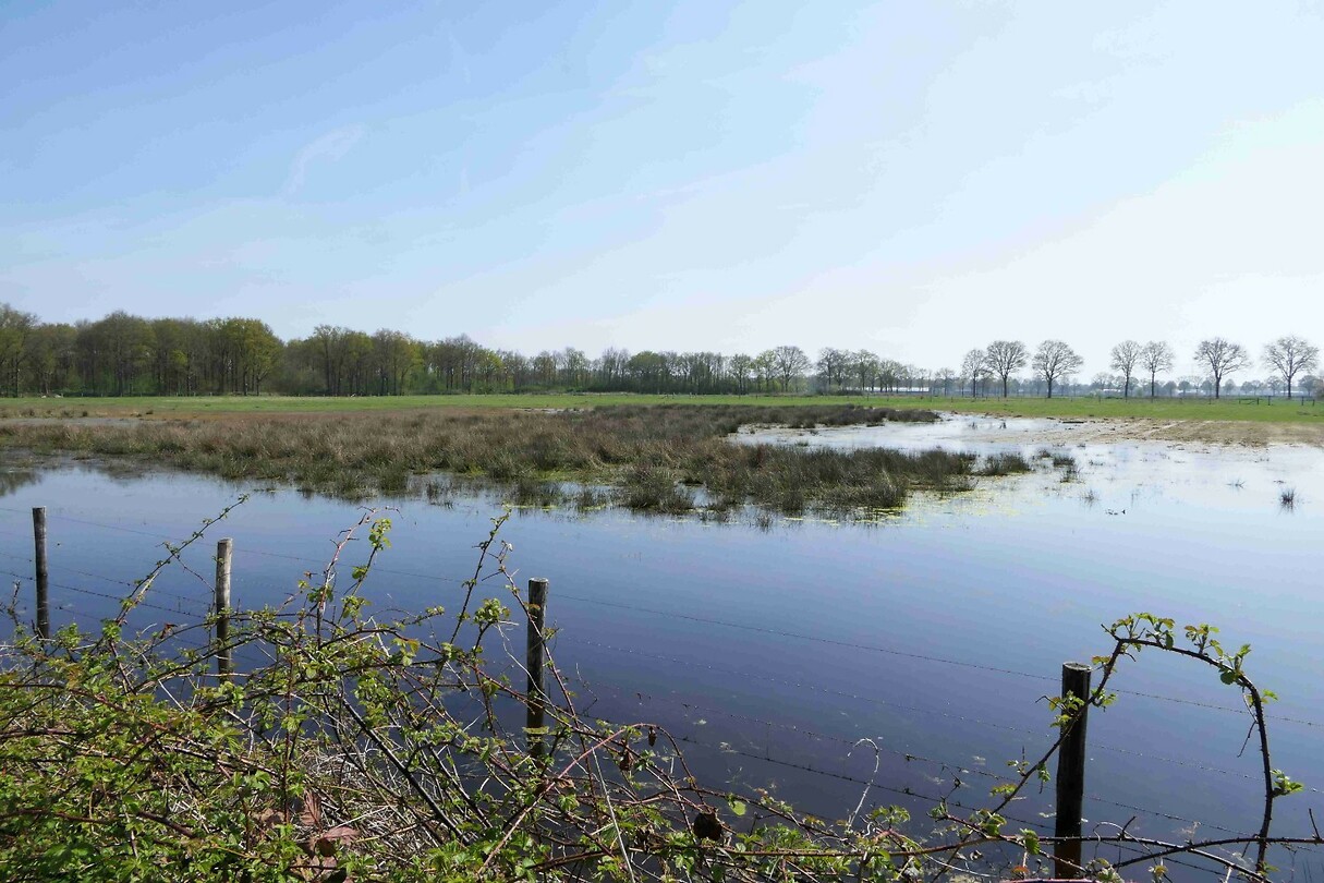 250411 de Groote Peel I