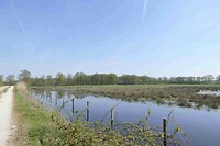 250411 de Groote Peel II