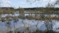 250414 Leenderheide