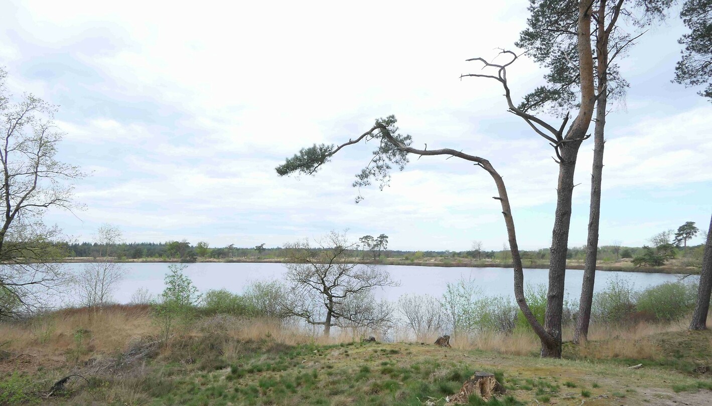 250415 Groot Malpieven