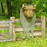 250506 Wisent