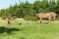 250512 Boer met paard en eg