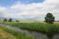 250529 Het vlakke land