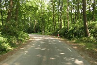 250530 Linie den Hout