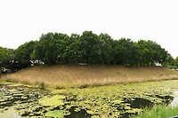 250601 Staatenbolwek