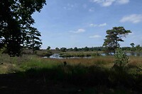 250820 Ven in omgeving Alverna