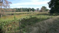 250826 Bergen Berger Bos