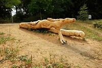 250828 Horst  bewerkt hout