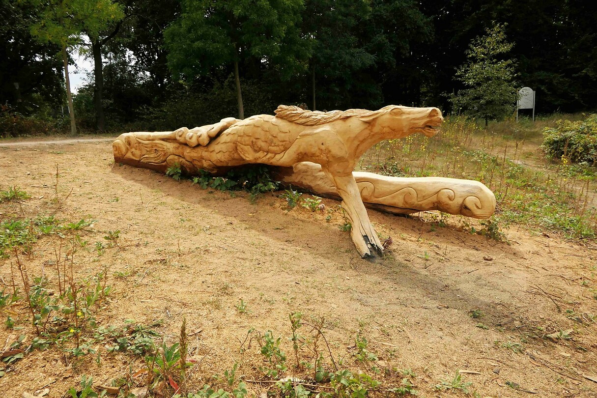 250828 Horst  bewerkt hout