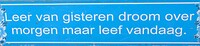 250903 Balgoy  Pad der wijsheid_002