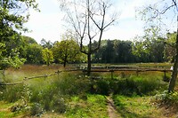 250919 Kaldenkirchen   natuurgebied