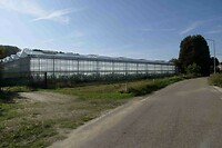 250919 Venlo één van de vele kassen