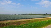 250929 Neer preiveld I