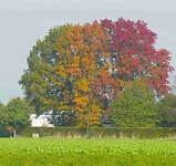251010 herfst kleurenpracht