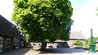 260828 MusDrpDeLgt_003