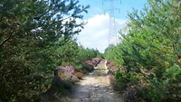 260912 Lommel_001