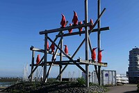 261004_Breskens_Pinguins