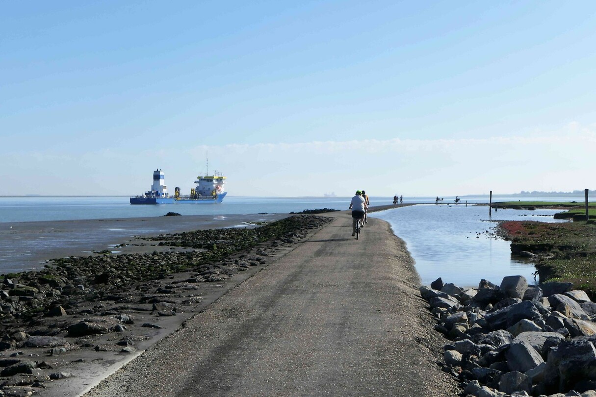 261004_Westerschelde_001