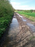 IMG_20240407_120726_436