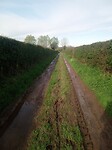 IMG_20240407_093353_519
