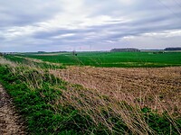 IMG_20240408_133620_586~4