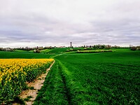IMG_20240409_091011_286~4