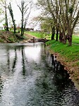 IMG_20240409_101819_544~2