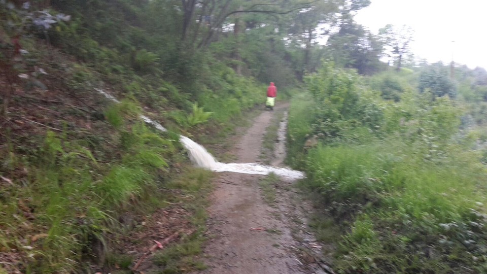 Vanmorgen gruwelijk veel regen. Foto van Maik die achter me liep.