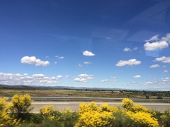 Vanuit de bus Brazuelo.