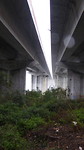Schuilen onder snelwegbrug.