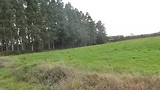 hoogste punt op de Ingles 460 meter, net vóór Bruma.