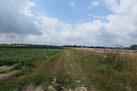 Nog zo’n pad tussen de velden