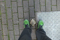 Jacobsschelp Andenne