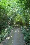Ook een ommetje gemaakt door het bos
