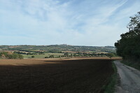 Montefiascone in de verte
