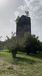 Oude toren in hazelnootkwekerij