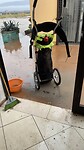 Bij leegstaand tankstation de wheelie gewassen