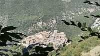 Polino