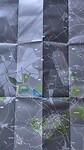 Kaart omgeving Ieper met frontlinies (rode/blauwe lijn).